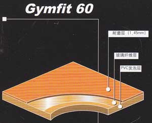 ΌGymfit 60